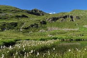 91 Laghetto Foppe Basse (2183 m) con bianchi eriofori
